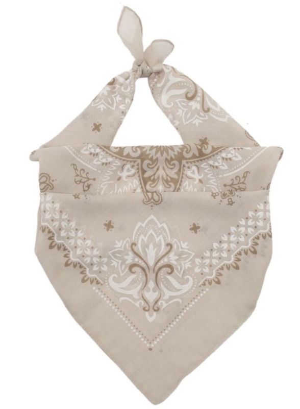 Spring Paisley Scarf Qnuz