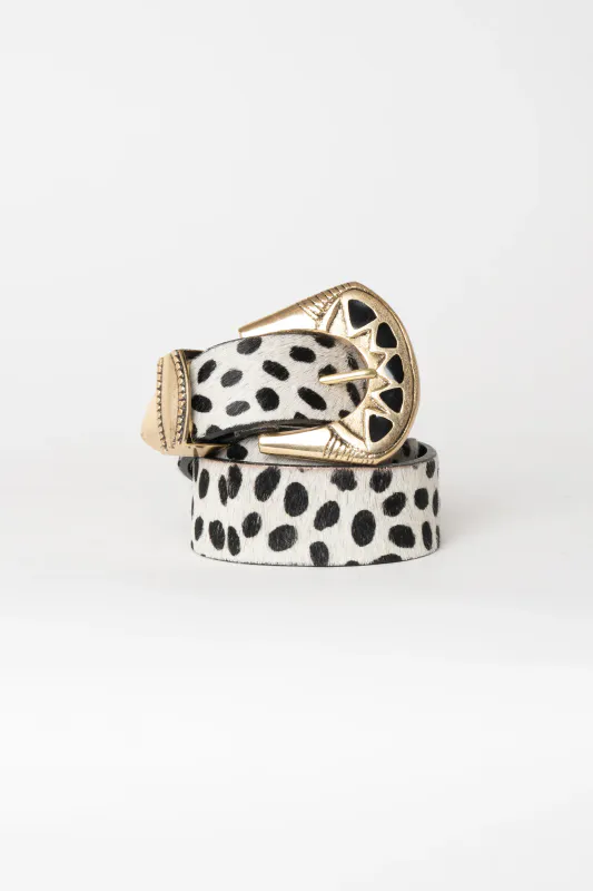 Dalmata Belt Piti Cuiti