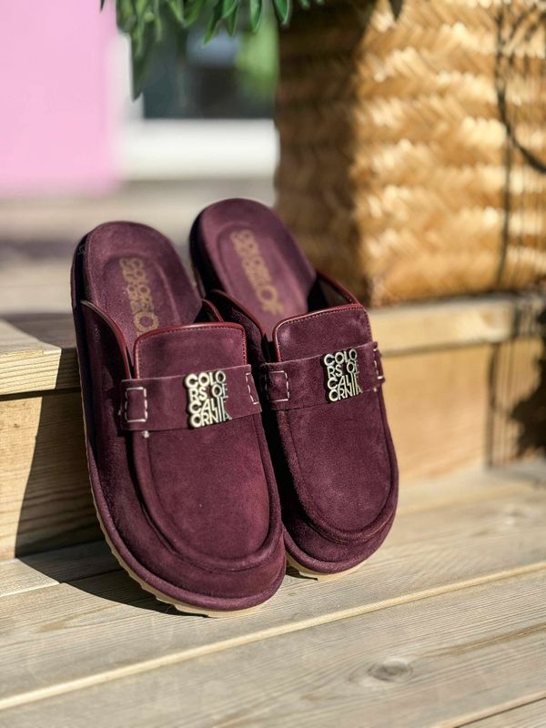 Classy Sabot Colors Of California